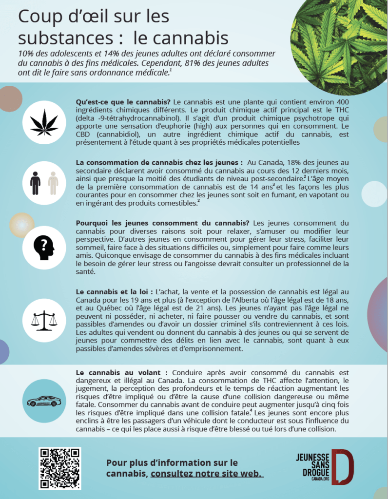 Cannabis one pager FR 